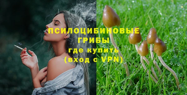 МДПВ Алексеевка