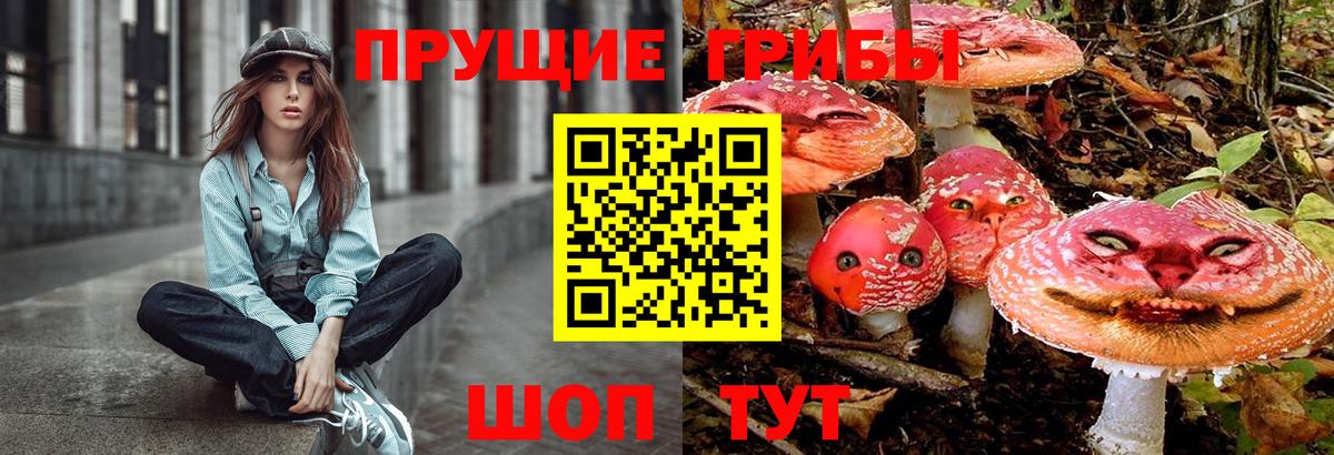Галлюциногенные грибы мицелий  Вход с VPN  Прохладный 