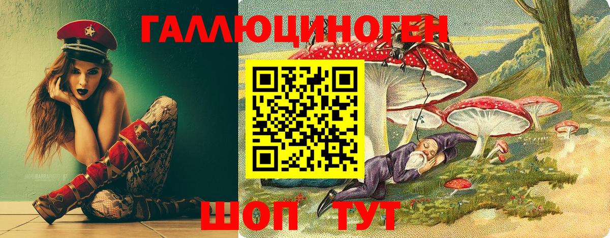 Галлюциногенные грибы мухоморы Прохладный